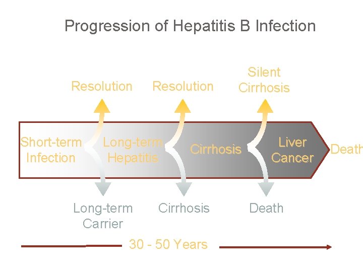 Progression of Hepatitis B Infection Resolution Short-term Infection Resolution Long-term Hepatitis Long-term Carrier Silent
