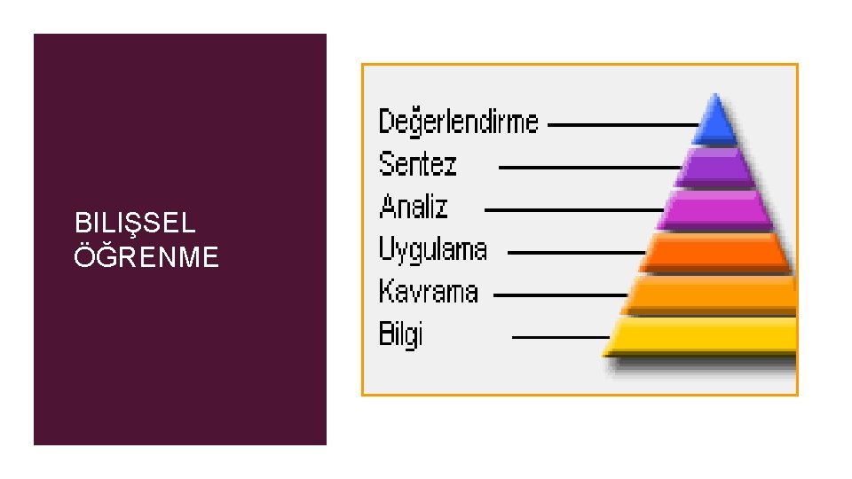 BILIŞSEL ÖĞRENME 