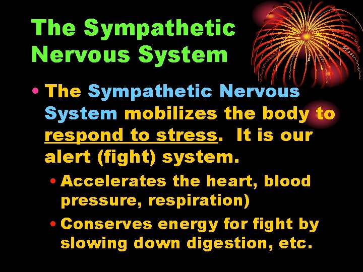 The Sympathetic Nervous System • The Sympathetic Nervous System mobilizes the body to respond