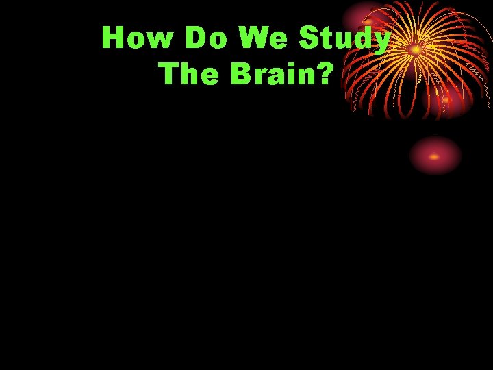 How Do We Study The Brain? 
