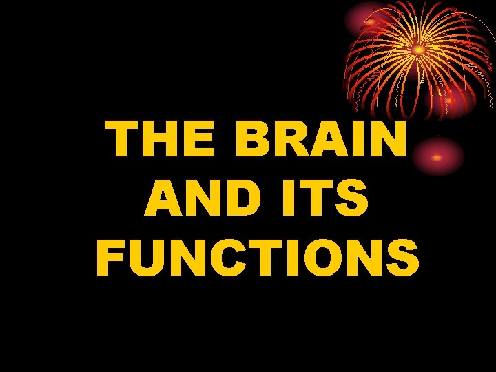 THE BRAIN AND ITS FUNCTIONS 