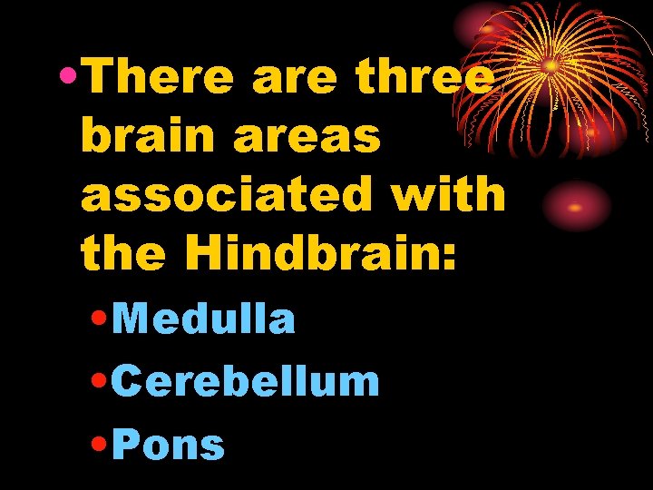  • There are three brain areas associated with the Hindbrain: • Medulla •