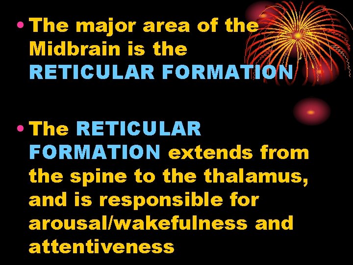  • The major area of the Midbrain is the RETICULAR FORMATION • The
