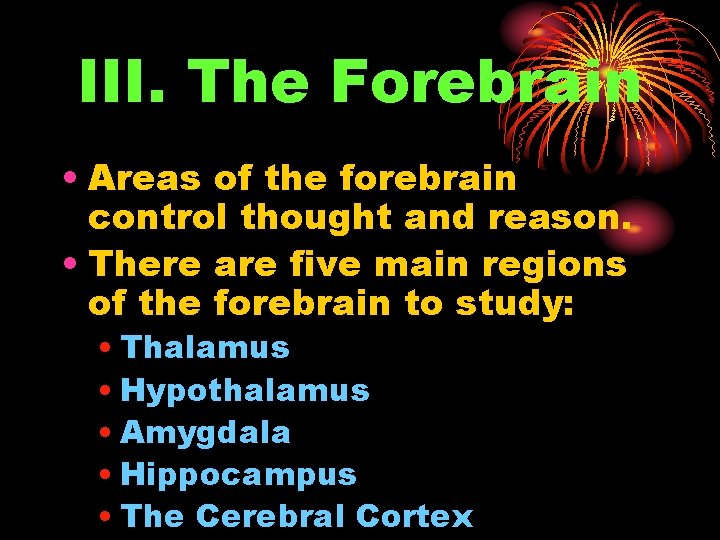III. The Forebrain • Areas of the forebrain control thought and reason. • There