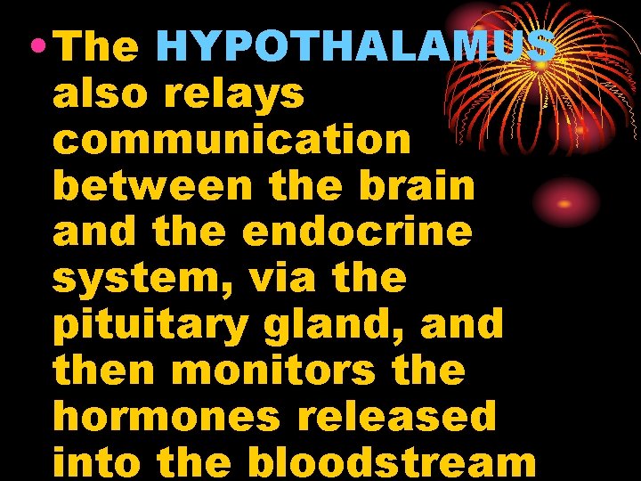  • The HYPOTHALAMUS also relays communication between the brain and the endocrine system,