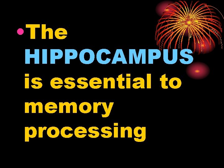  • The HIPPOCAMPUS is essential to memory processing 