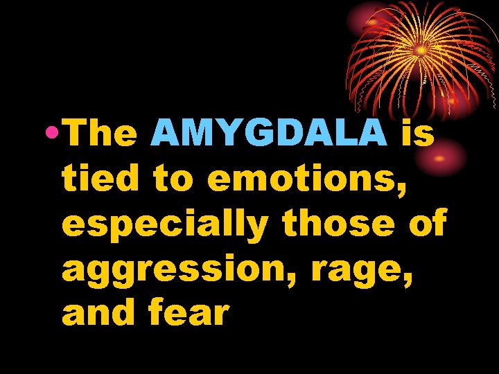  • The AMYGDALA is tied to emotions, especially those of aggression, rage, and