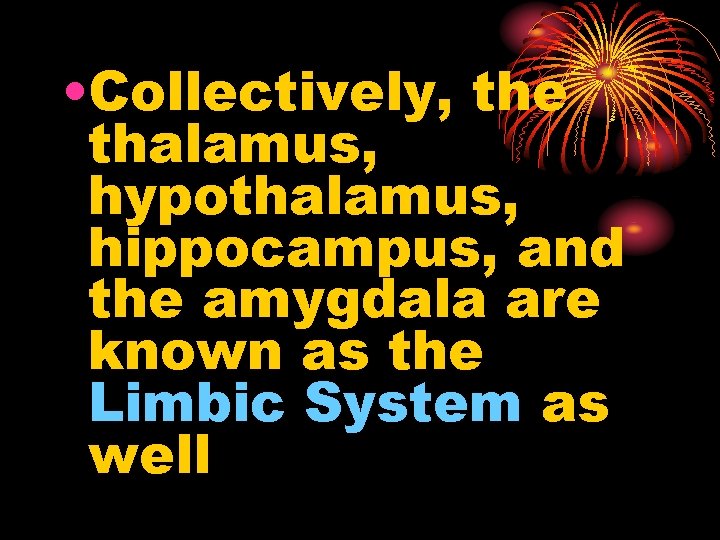  • Collectively, the thalamus, hypothalamus, hippocampus, and the amygdala are known as the