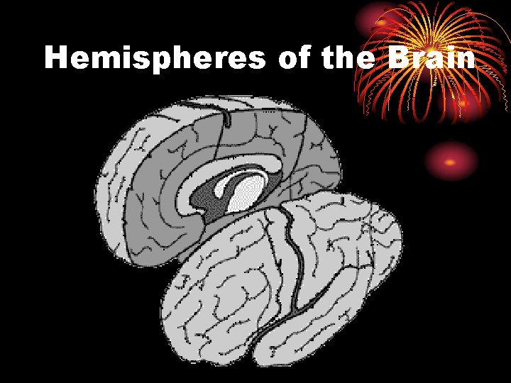 Hemispheres of the Brain 
