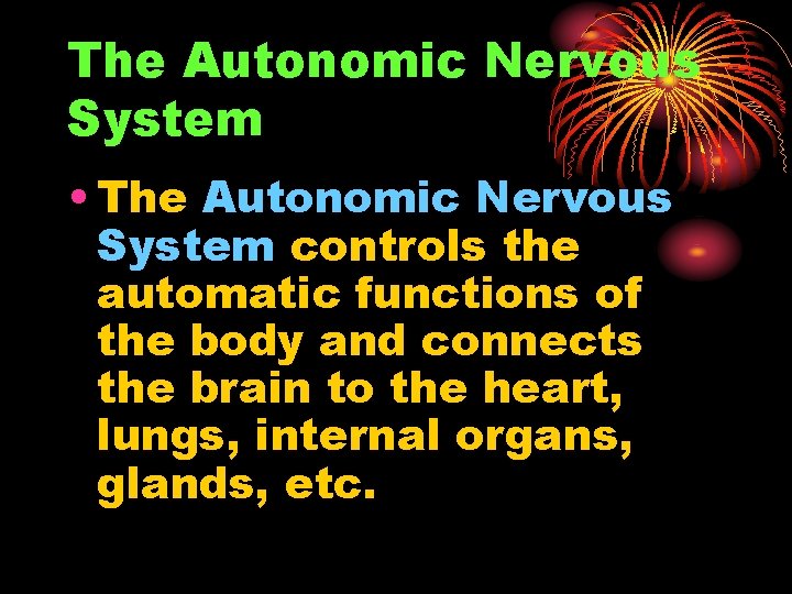 The Autonomic Nervous System • The Autonomic Nervous System controls the automatic functions of