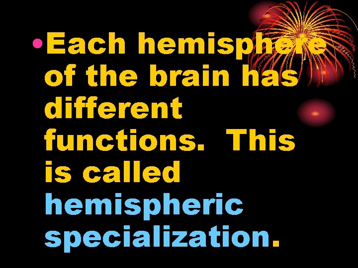  • Each hemisphere of the brain has different functions. This is called hemispheric