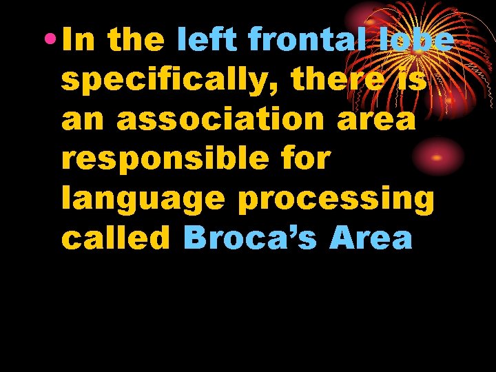  • In the left frontal lobe specifically, there is an association area responsible