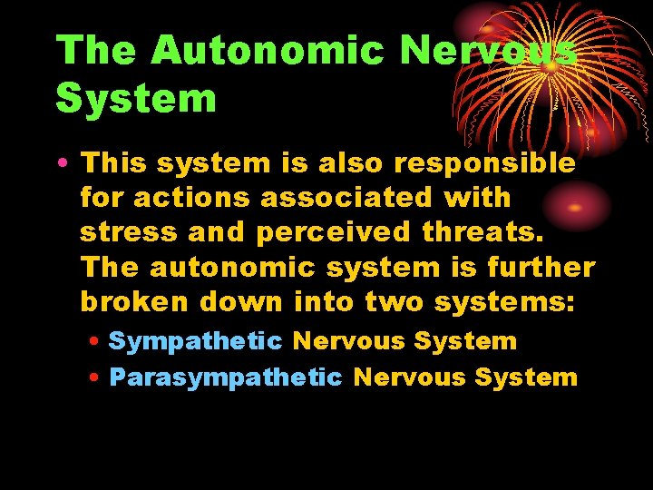 The Autonomic Nervous System • This system is also responsible for actions associated with