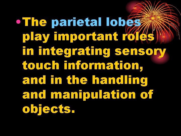  • The parietal lobes play important roles in integrating sensory touch information, and