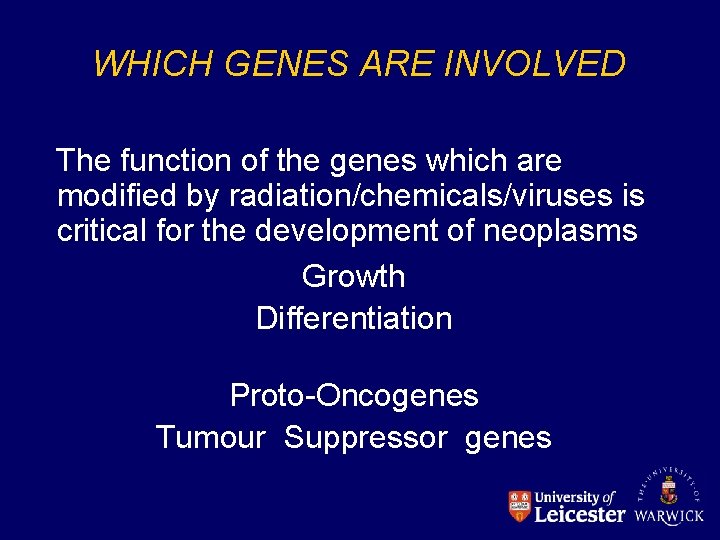 WHICH GENES ARE INVOLVED The function of the genes which are modified by radiation/chemicals/viruses