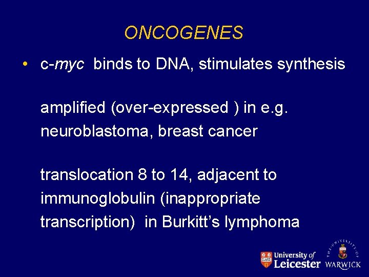 ONCOGENES • c-myc binds to DNA, stimulates synthesis amplified (over-expressed ) in e. g.