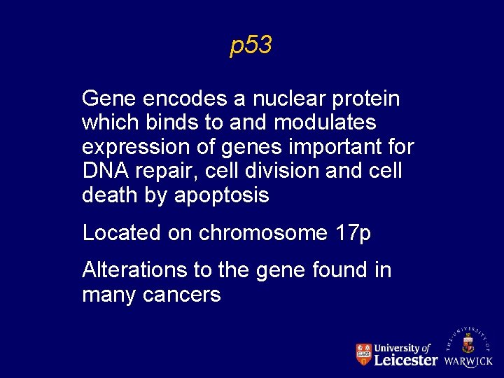 p 53 Gene encodes a nuclear protein which binds to and modulates expression of