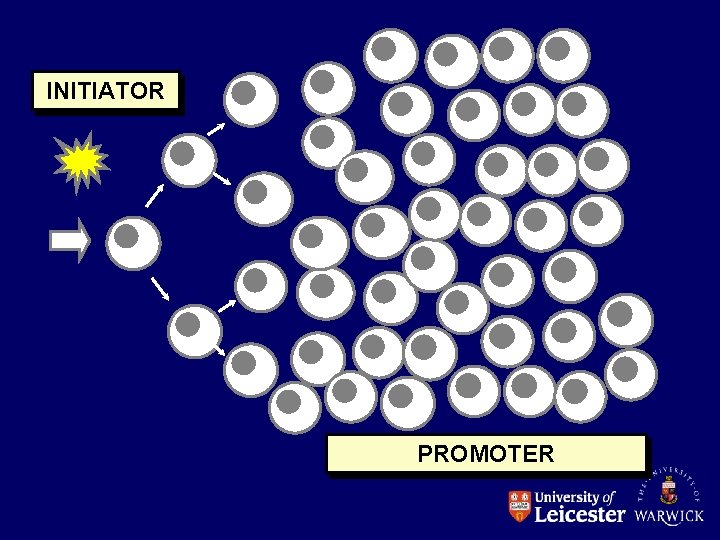 INITIATOR PROMOTER 
