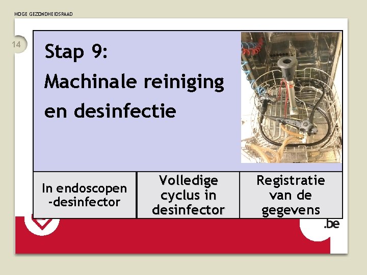 Reiniging en ontsmetting pluimveestallen - Nederland