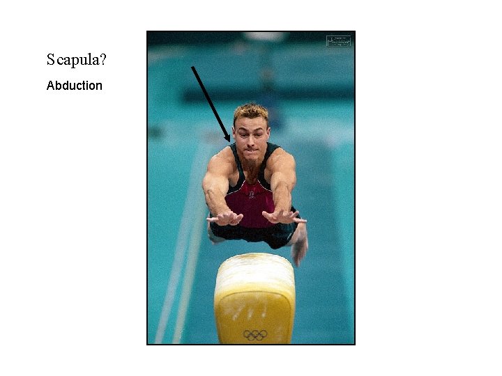 Scapula? Abduction 