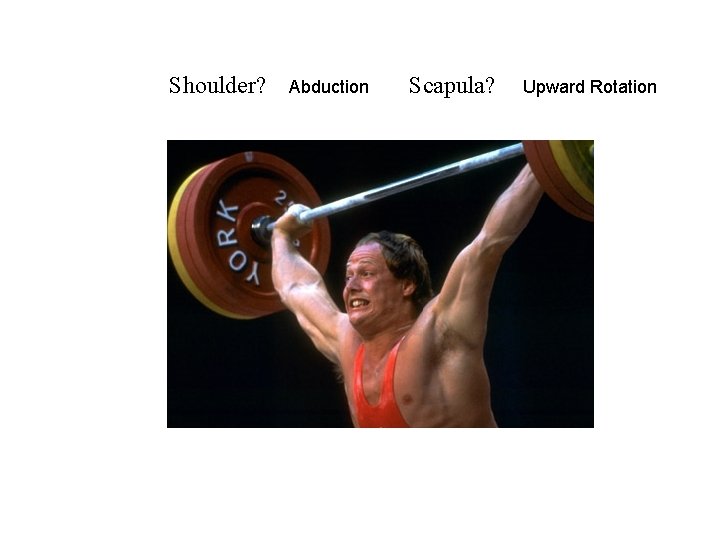 Shoulder? Abduction Scapula? Upward Rotation 