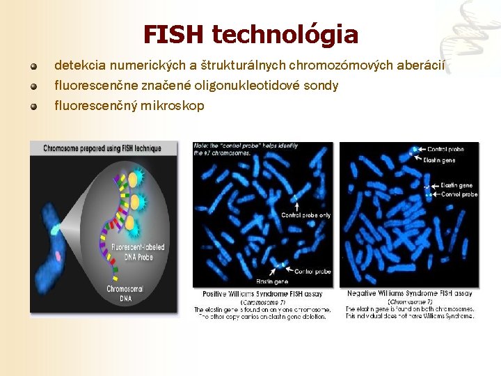 FISH technológia detekcia numerických a štrukturálnych chromozómových aberácií fluorescenčne značené oligonukleotidové sondy fluorescenčný mikroskop