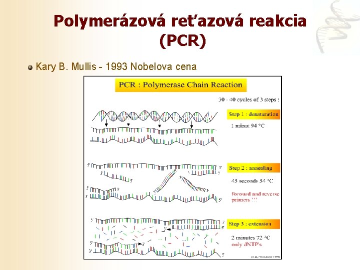 Polymerázová reťazová reakcia (PCR) Kary B. Mullis - 1993 Nobelova cena 