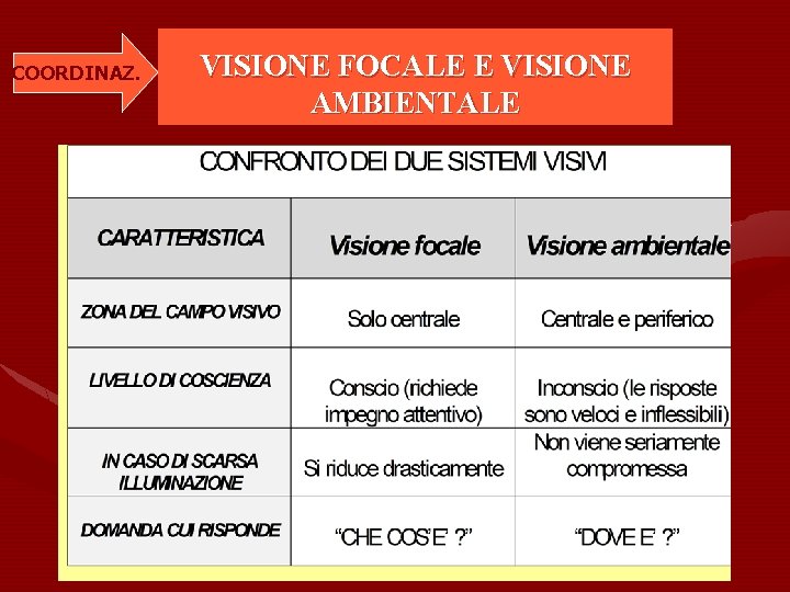 COORDINAZ. VISIONE FOCALE E VISIONE AMBIENTALE 