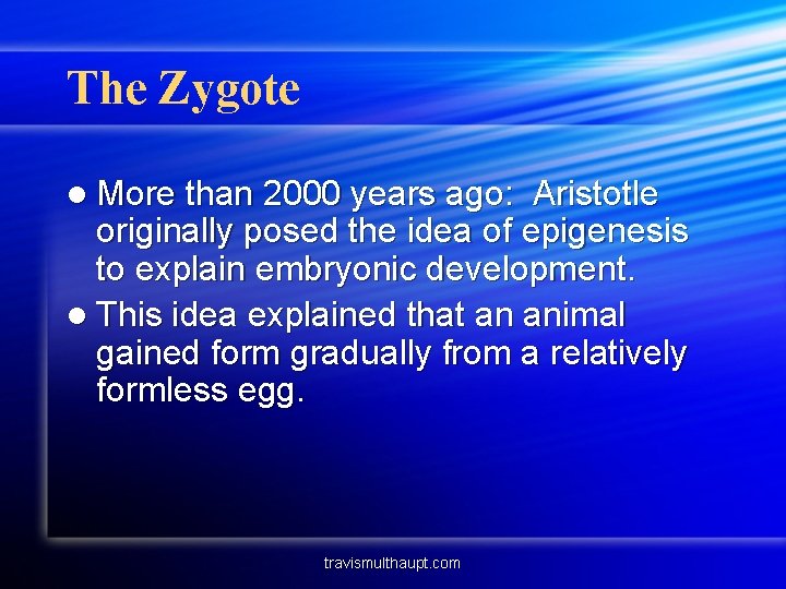 The Zygote l More than 2000 years ago: Aristotle originally posed the idea of