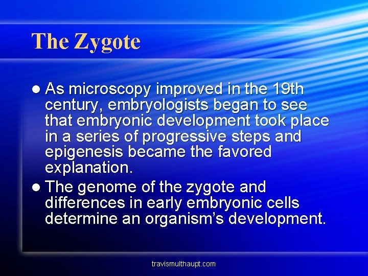 The Zygote l As microscopy improved in the 19 th century, embryologists began to