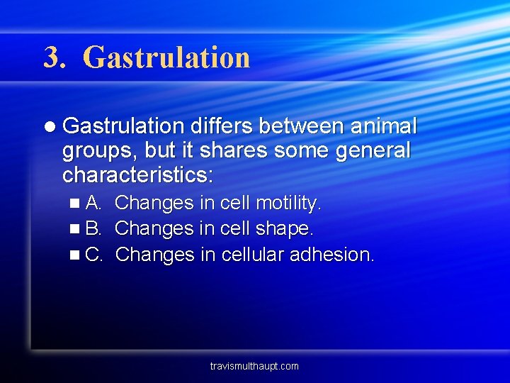 3. Gastrulation l Gastrulation differs between animal groups, but it shares some general characteristics: