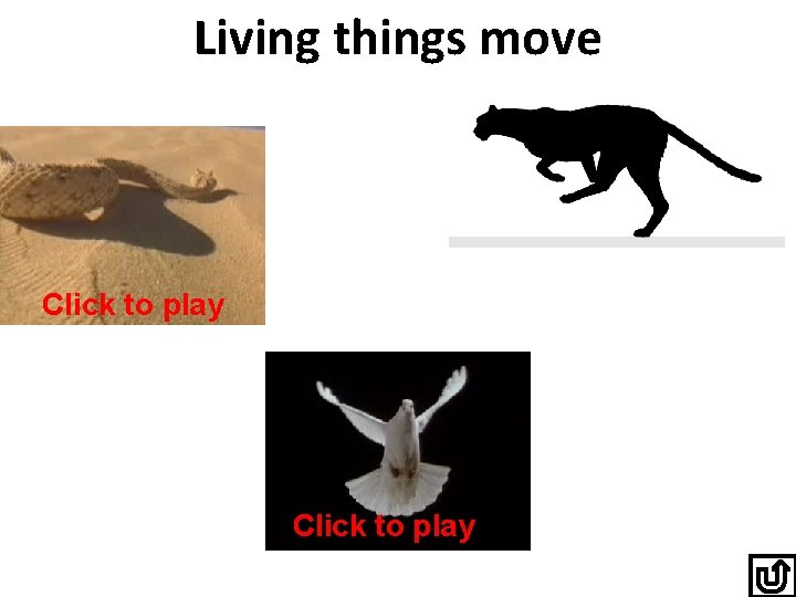 Living things move Click to play 