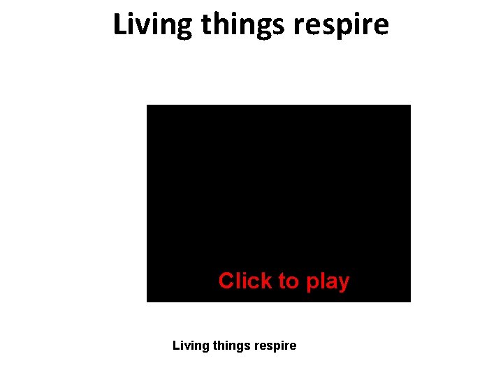 Living things respire Click to play Living things respire 