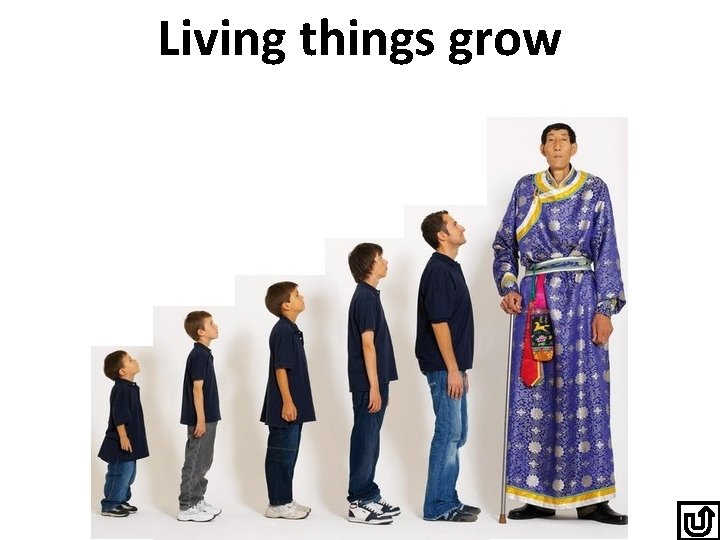 Living things grow 