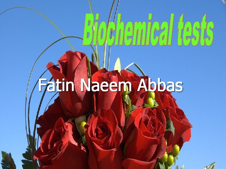 Fatin Naeem Abbas 