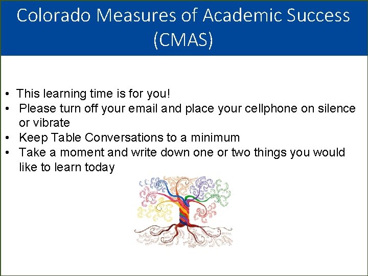 Colorado Measures of Academic Success (CMAS) • This learning time is for you! •