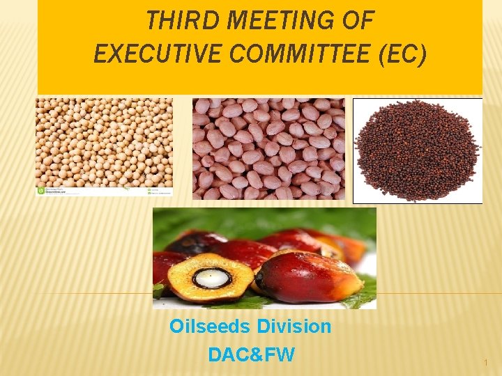 THIRD MEETING OF EXECUTIVE COMMITTEE (EC) Oilseeds Division DAC&FW 1 