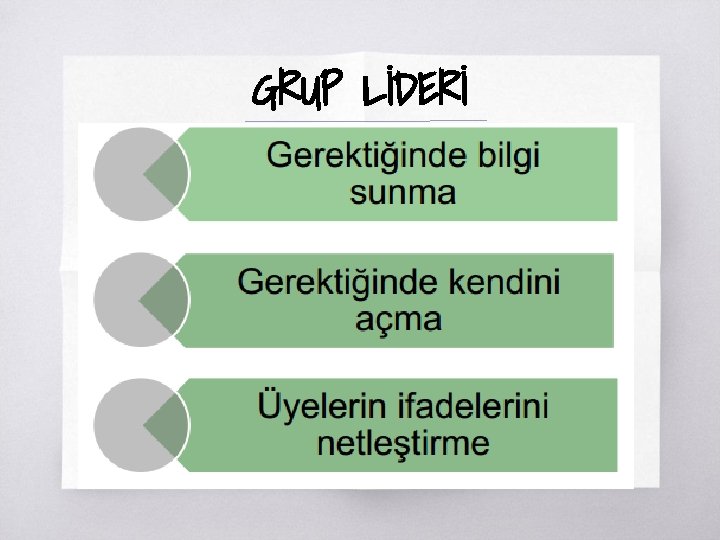 GRUP LİDERİ 