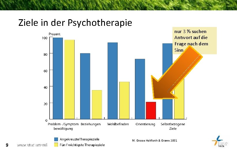 Ziele in der Psychotherapie 9 nur 3 % suchen Antwort auf die Frage nach