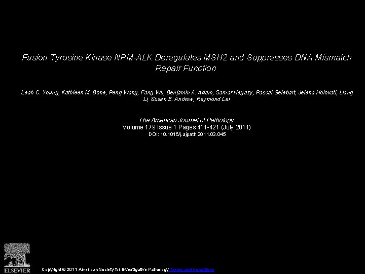 Fusion Tyrosine Kinase NPM-ALK Deregulates MSH 2 and Suppresses DNA Mismatch Repair Function Leah