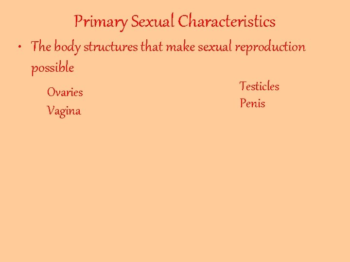 Primary Sexual Characteristics • The body structures that make sexual reproduction possible Ovaries Vagina