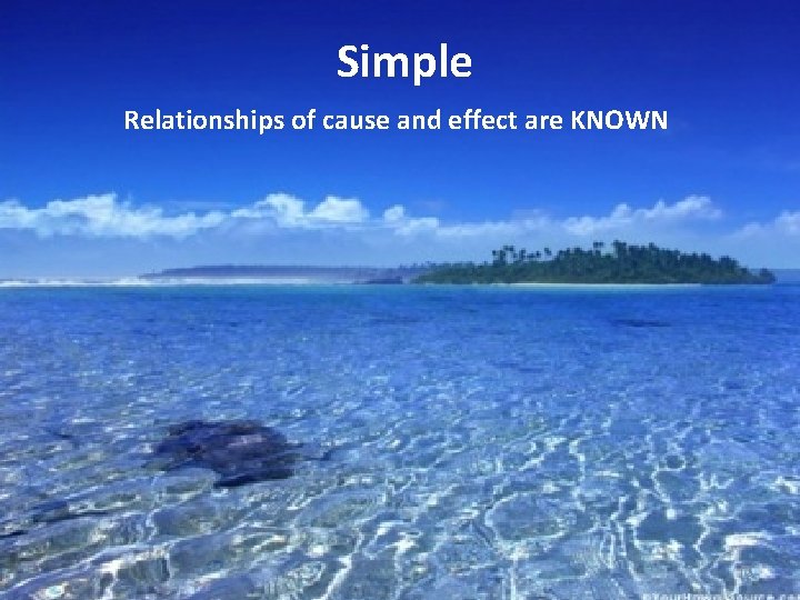 Simple Relationships of cause and effect are KNOWN 12 