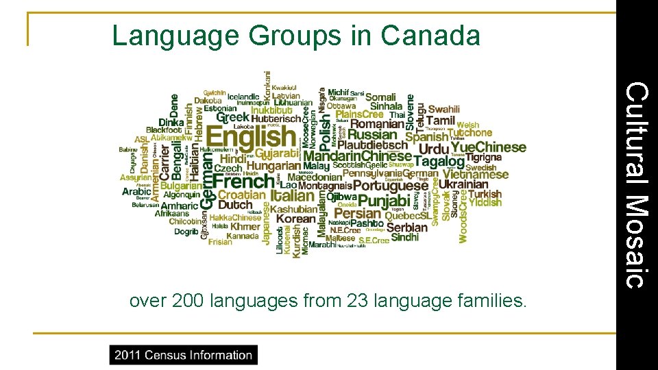 Language Groups in Canada Cultural Mosaic over 200 languages from 23 language families. 