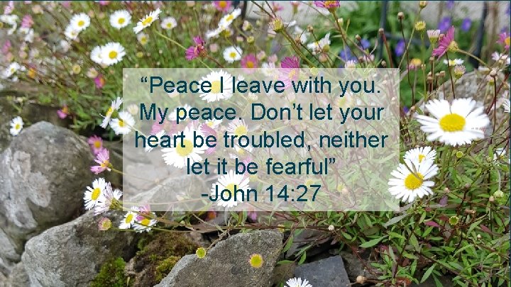 “Peace I leave with you. My peace. Don’t let your heart be troubled, neither