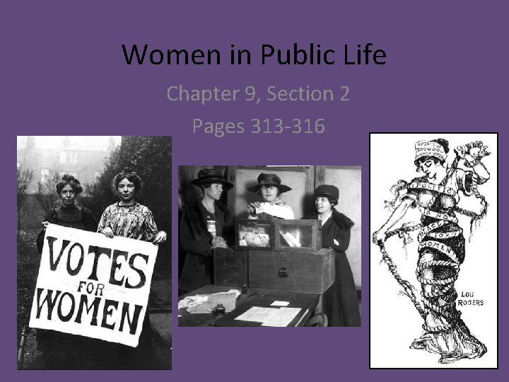 Women in Public Life Chapter 9, Section 2 Pages 313 -316 