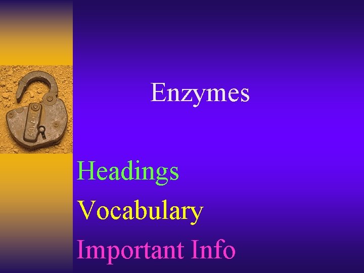 Enzymes Headings Vocabulary Important Info 