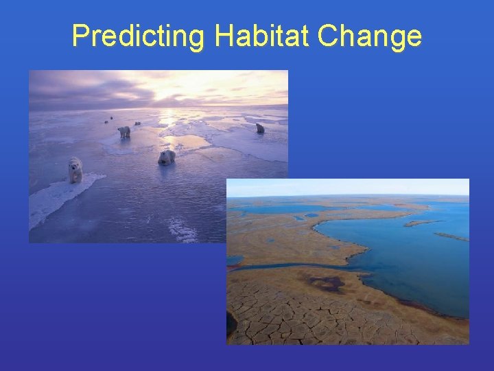Predicting Habitat Change 