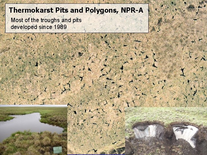 Thermokarst Pits and Polygons, NPR-A Most of the troughs and pits developed since 1989