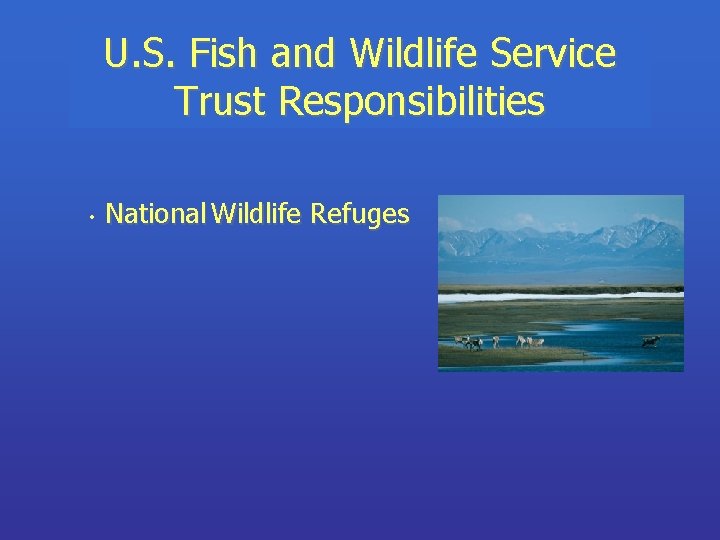 U. S. Fish and Wildlife Service Trust Responsibilities • National Wildlife Refuges 