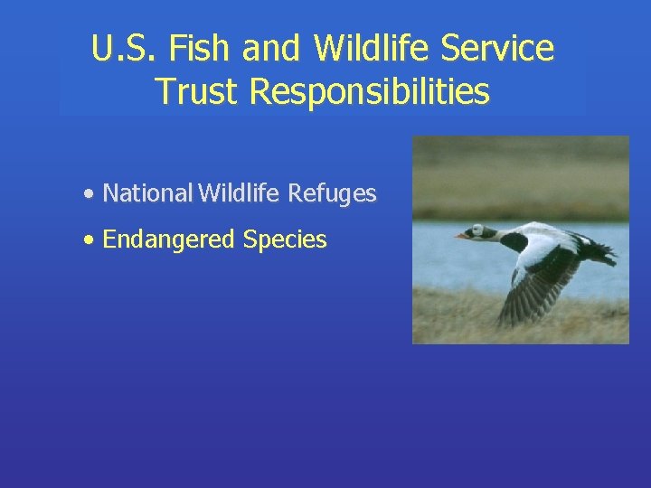 U. S. Fish and Wildlife Service Trust Responsibilities • National Wildlife Refuges • Endangered